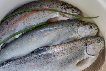 Three raw  freshly caught rainbow trouts laid in a white enamelled bowl in the kitchen.  Closeup of a fresh forel trout fish in a casserole pot, ready for preparation and cooking. Top view. 
