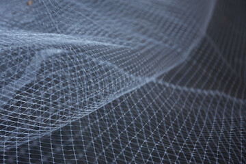 Abstract background of white net on a dark background