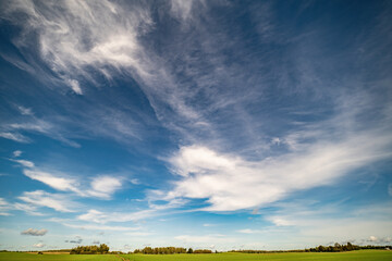 Obraz premium A beautiful shot of a field with blue sky, cirrus clouds