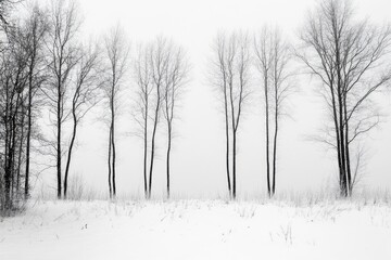 Silhouetted bare trees stand against a snowy backdrop.