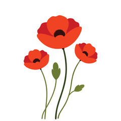 Obraz premium A vibrant red poppy flowers vector illustration on a white background. This elegant and detailed design is perfect for floral-themed art, prints, cards, or decoration projects.