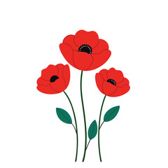 Fototapeta premium A vibrant red poppy flowers vector illustration on a white background. This elegant and detailed design is perfect for floral-themed art, prints, cards, or decoration projects.