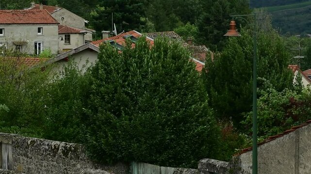 Storm Aitor in France in the Pilat Regional Natural Park, Loire.
Strong winds and thunderstorms.