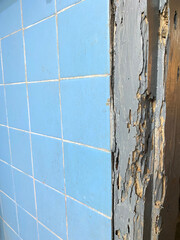 Wood eaten by termites