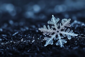 Close-up of snowflake resting on black surfaces. Macro shot of a snowflake intricate winter detail