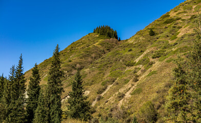 Fototapeta premium landscape with sky