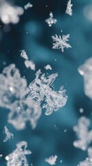 Close-up of snowflakes on ice, arranged in an artistic pattern with various shapes and sizes