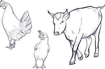 a set of hand-drawn drawings of domestic animals cows and chickens vector illustration