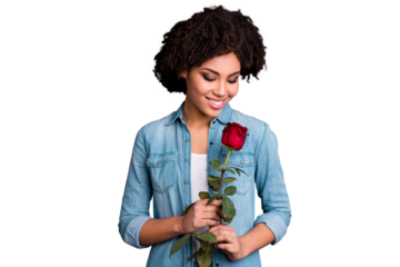 Close up photo beautiful amazing she her dark skin lady cheer flirty hands arms big red rose toothy satisfied boyfriend husband surprise wear casual jeans denim shirt isolated grey background