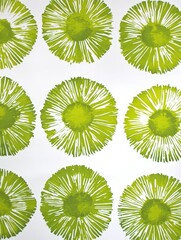 Fototapeta premium A green and white floral pattern with a green center