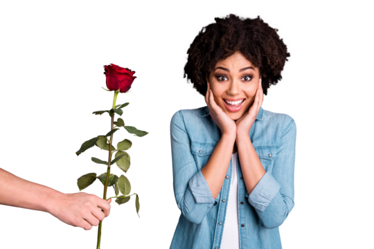 Close up photo beautiful amazing she her dark skin lady flirty hands arms cheeks cheekbones taking big red rose boyfriend husband surprise wear casual jeans denim shirt isolated grey background