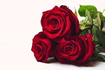 Three red roses on a white background