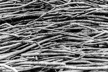 Black and White Woodpile in the mountains in South Tyrol