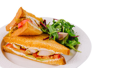 Grilled chicken sandwich with fresh salad on white plate