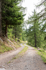 Hiking trail through the mountains of South Tyrol