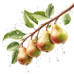 Pear detailed fruit isolated on white and transparent background. PNG cutout.