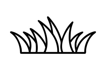 Beautiful Tall Slender Grass Blades Illustrating the Serenity of Nature
