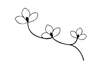 Delicate Orchid Branch with Blooming Flowers Vector Art for Elegant Design Projects
