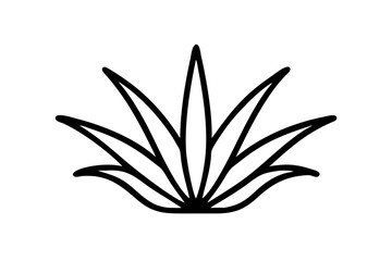 Fresh Aloe Vera Plant Vector Illustration in Minimalist Style
