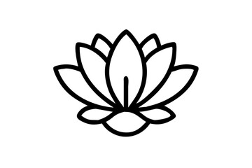 white lotus flower