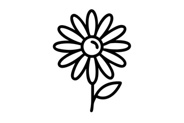 Vector minimalist daisy with thin radiating petals line art style
