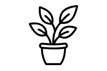 Elegant Minimalism Captured in Rounded Leaf Potted Plant
