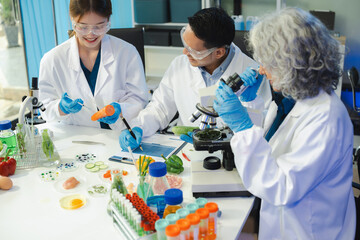Team Microbiologists Analyzing Molecular Samples in Advanced Food Science Laboratory, Dietitian food and medicine.