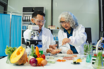 Team Microbiologists Analyzing Molecular Samples in Advanced Food Science Laboratory, Dietitian food and medicine.