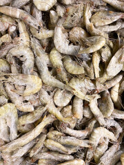 Lots of frozen unpeeled shrimp top view
