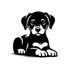 Fototapeta premium Dobermann Dog