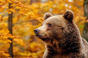 Obraz premium An animal in an autumn forest created with generative AI technology