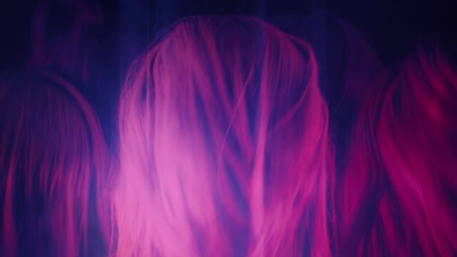 Crowd Of Music Fans At Concert