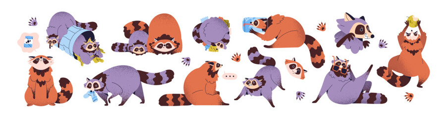 Cute raccoons life set. Funny racoons play with trash, waste bin. Adorable forest animal characters have fun. Amusing woodland baby behavior. Flat isolated vector illustration on white background