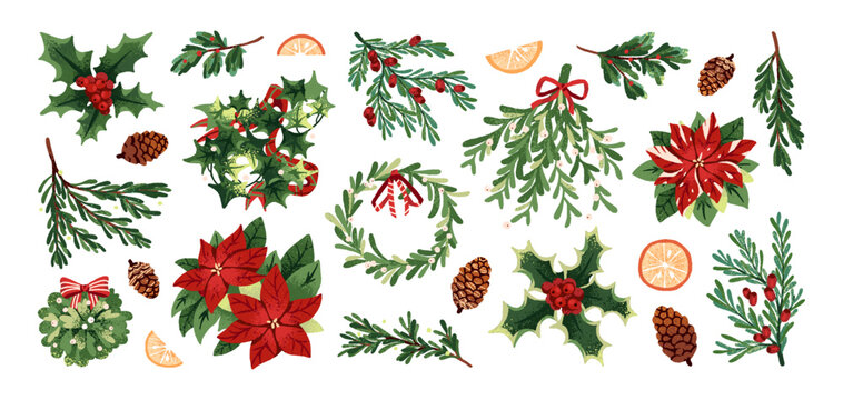 Christmas evergreen plants set. Vintage Xmas decoration, traditional decor: fir branch, pine wreath, twigs of spruce tree with cones, mistletoe. Flat isolated vector illustrations on white background