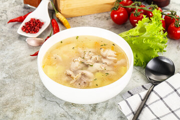 Homemade chicken soup with vegetables