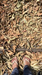 dry leaves and feet