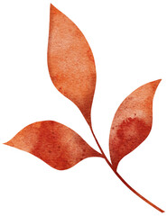 Watercolour autumn leaf. Bright watercolour leaf for web, greeting cards, wallpapers, decor and other.