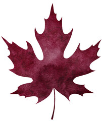 Watercolour autumn leaf. Bright watercolour leaf for web, greeting cards, wallpapers, decor and other.