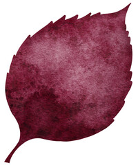 Watercolour autumn leaf. Bright watercolour leaf for web, greeting cards, wallpapers, decor and other.