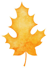 Watercolour autumn leaf. Bright watercolour leaf for web, greeting cards, wallpapers, decor and other.