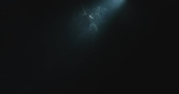 The witch stands and keeps her head low