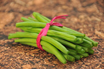 Fagot de Haricots verts extra fin équeutés