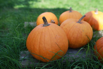 Dietary food using pumpkin in dishes. Pumpkin diet for pensioners and people with gastrointestinal disorders.
