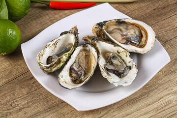 Raw fresh wild oyster dish