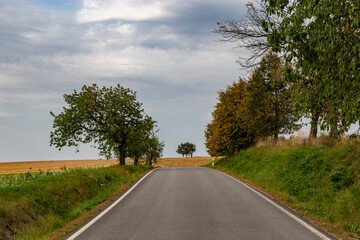 Road among fields in late summer