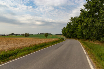 Road among fields in late summer