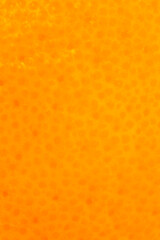 bright summer backdrop: close up of peel of orange texture
