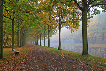 Herbstnebel am Küchengraben in der Karlsaue