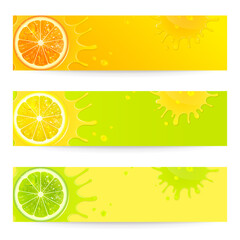 Set of Bright Banners with Citrus Fruits