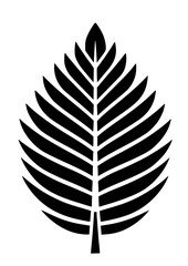 Fototapeta premium Tropical Leaves SVG, Jungle Leaves SVG, Monstera Leaf SVG, Fan Palm SVG, Calathea Leaf SVG, Banana Leaf SVG, Bamboo Leaf SVG, Palm Tree Leaf SVG, Tropical Leaves Silhouette Design, PNG, JPG